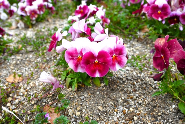 kadan_parkcafe_260325_02