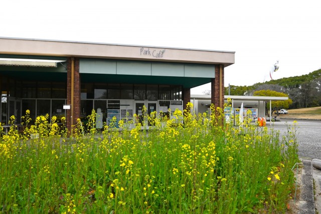 kadan_parkcafe_260325_03