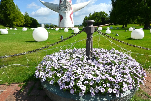 kadan_petunia_250806_02