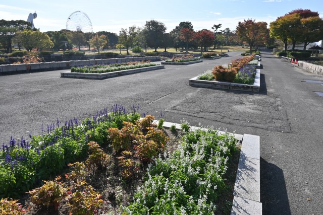 kadan_salvia_251111_03