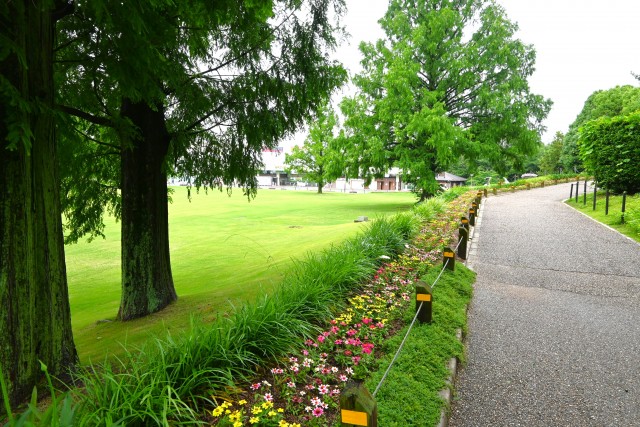 kadan_sokudo_250611_01
