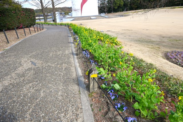 kadan_sokudo_260121_01