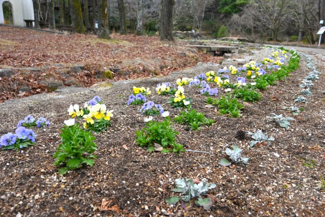 kadan_solard_260128_01