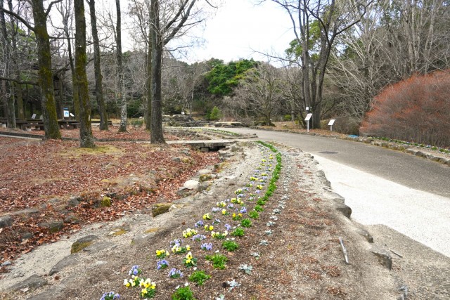 kadan_solard_260128_03