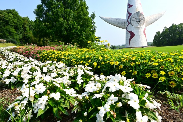 kadan_sunpa_250708_01