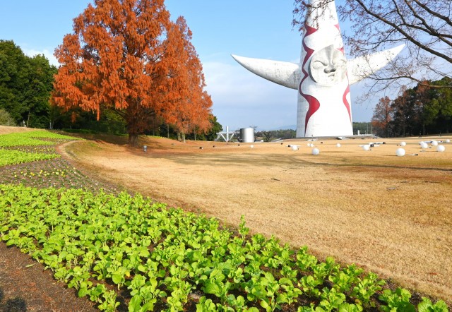 kadan_taiyo_251217_01