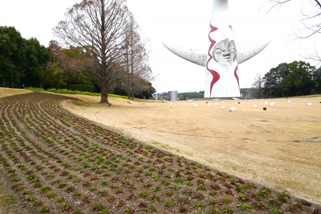 kadan_taiyonohiroba_260325_03