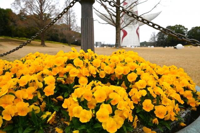 kadan_taiyonohiroba_260325_04