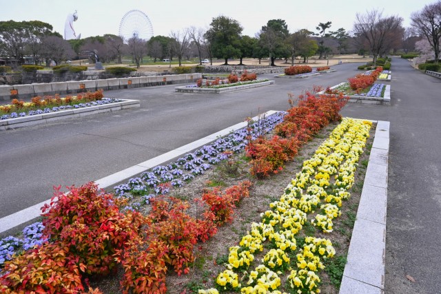 kadan_tmizunohiroba_260325_01