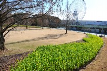 kanzaki_260114_05