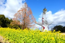 kanzaki_260121_04