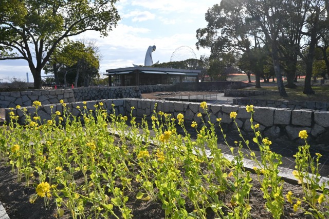 kanzaki_mizunohiroba_260114