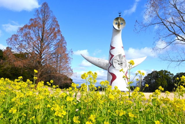 kanzakinanohana_260128_01