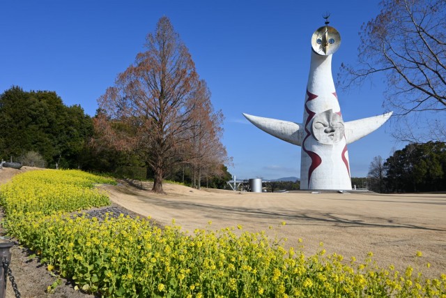 kanzakinanohana_260204_01