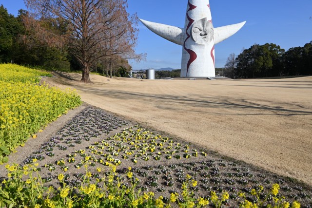 kanzakinanohana_260204_02