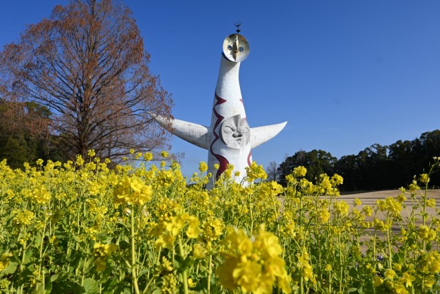 kanzakinanohana_260204_04