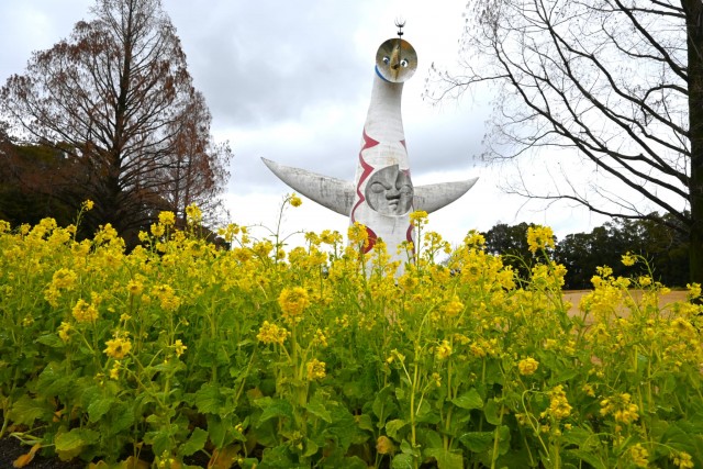 kanzakinanohana_260211_01