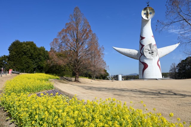 kanzakinanohana_260218_01