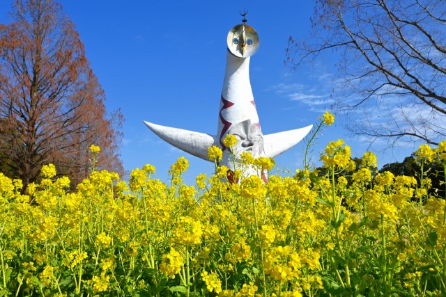 kanzakinanohana_260218_02