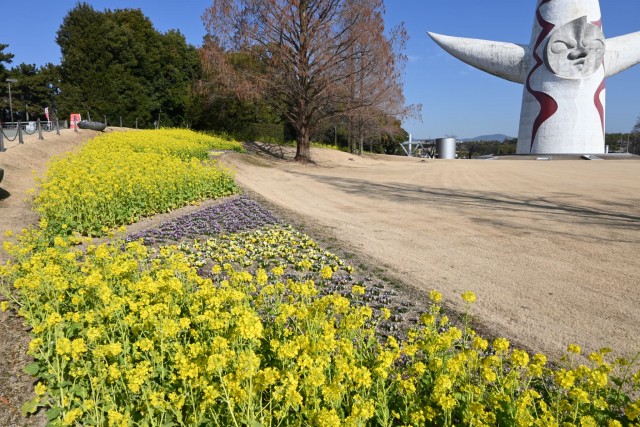 kanzakinanohana_260218_06