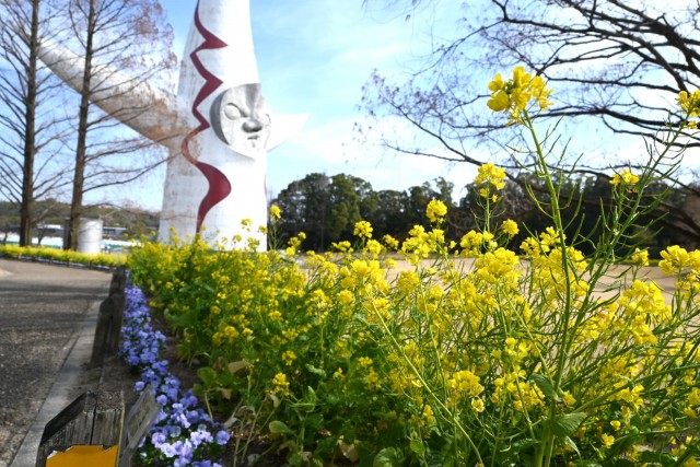 kanzakinanohana_260317_02