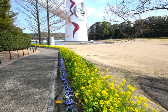 kanzakinanohana_260317_03