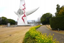 kanzakinanohana_260325_02