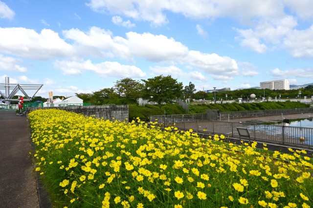 kibana_yumenoike_260922_01
