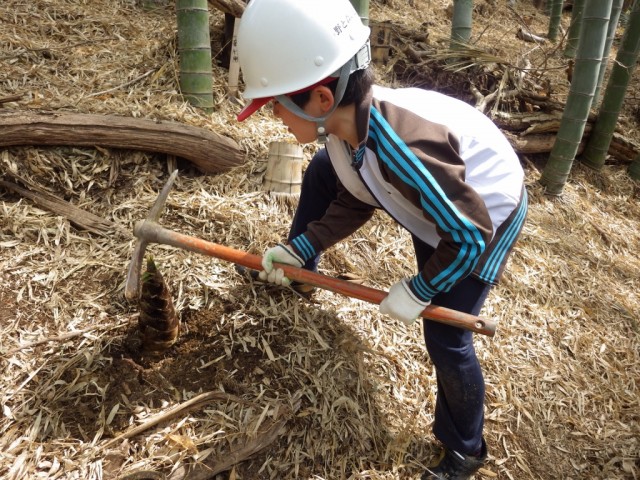 kodomonotamenotikurinhozen