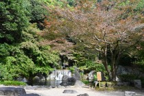komorebi_231110_01