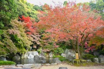 komorebi_231123_01