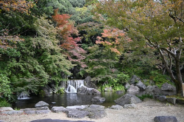 komorebinotaki_251106_01