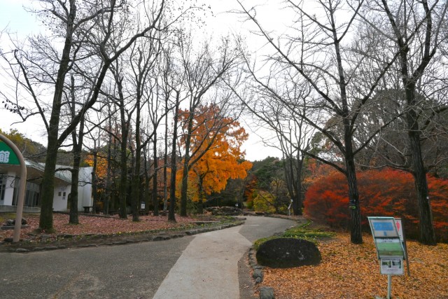 koyo_gakusyukan_251210_01