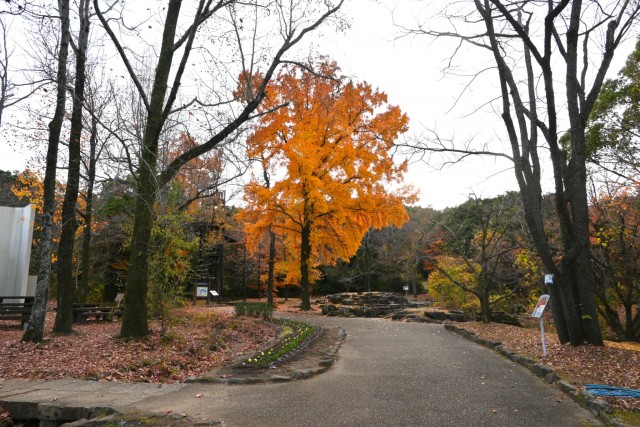 koyo_gakusyukan_251210_02