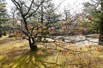 mansaku_250319_02