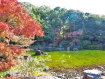 miyama_211112_01