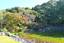 miyama_231101_01