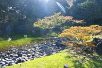 miyama_231101_02