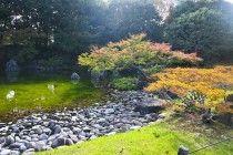 miyama_231110_02