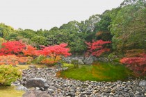miyama_231123_01