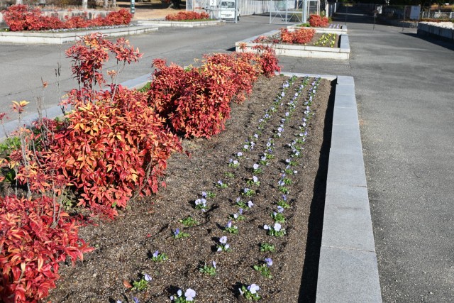 mizunohiroba_251223_01