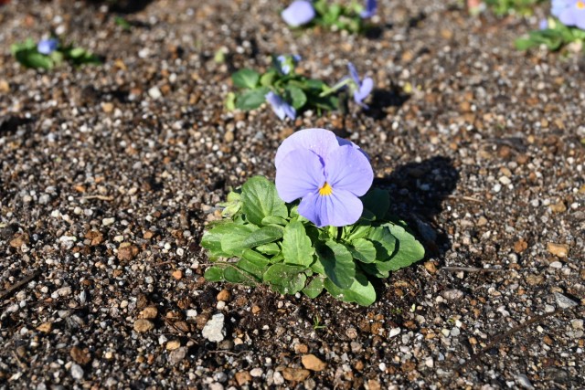 mizunohiroba_251223_02