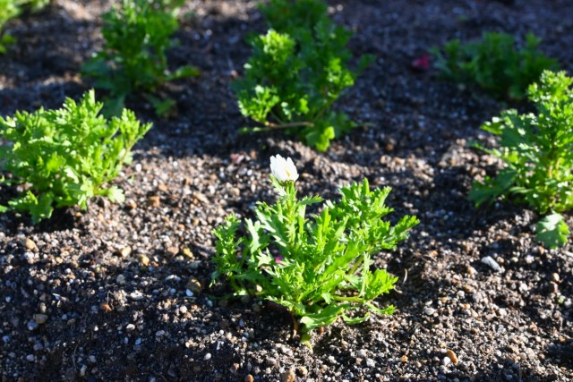 mizunohiroba_251223_03