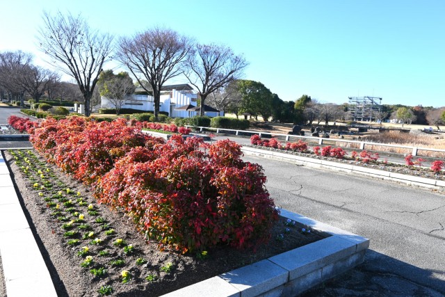 mizunohiroba_251223_04