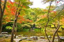 momijinotaki_231110_01