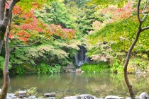 momijinotaki_231110_02