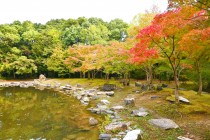 momijinotaki_231110_03