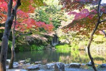 momijinotaki_231120_01