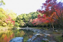 momijinotaki_231120_02
