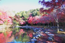 momijinotaki_231204_02